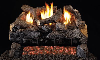 RH Peterson: G18 Series See-Thru Vent-Free Evening Fyre Charred Logs - 24" - primary view