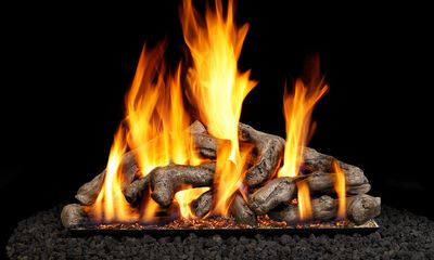 RH Peterson: Shoreline Driftwood Logs - 24" - primary view